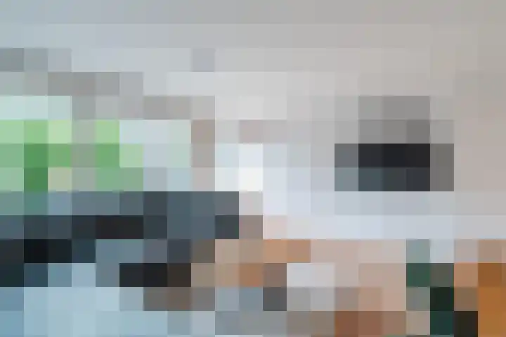 Wezelakker 7 Houten thumbnail 4