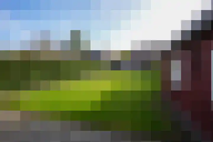 Wezelderweg 17 Eys thumbnail 22