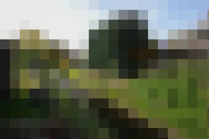 Wezelderweg 17 Eys thumbnail 25