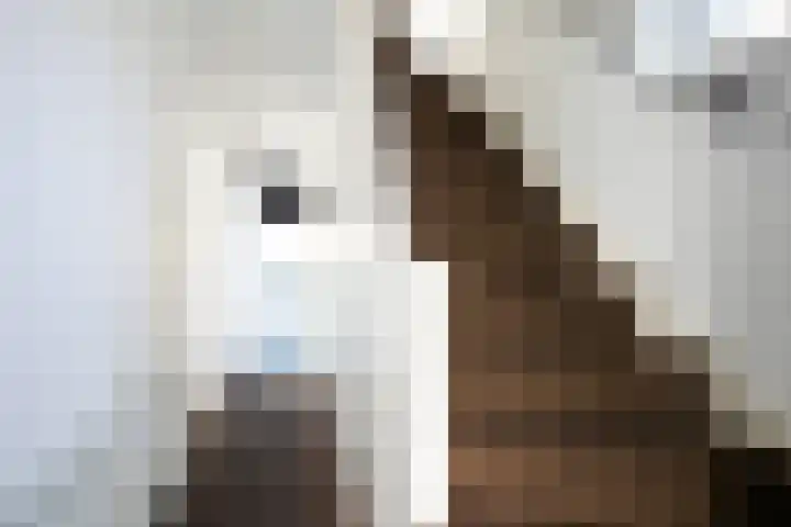 Wezelderweg 17 Eys thumbnail 8