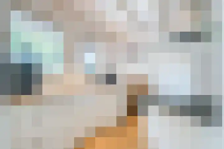 Wezelhof 60 Cuijk thumbnail 10