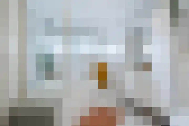 Wezelhof 60 Cuijk thumbnail 18