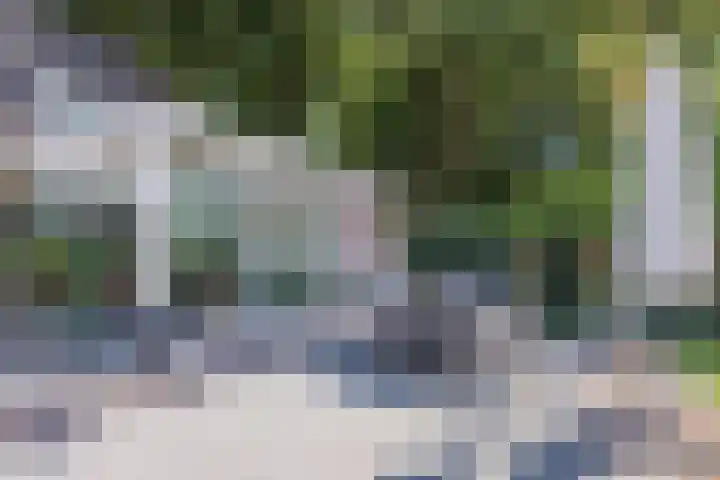 Wezelhof 60 Cuijk thumbnail 19