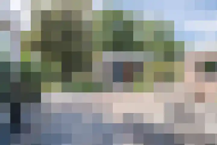 Wezelhof 60 Cuijk thumbnail 21