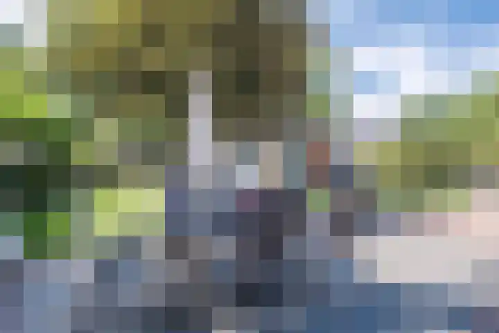 Wezelhof 60 Cuijk thumbnail 22