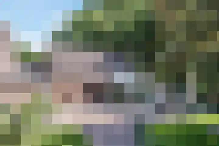 Wezelhof 60 Cuijk thumbnail 23