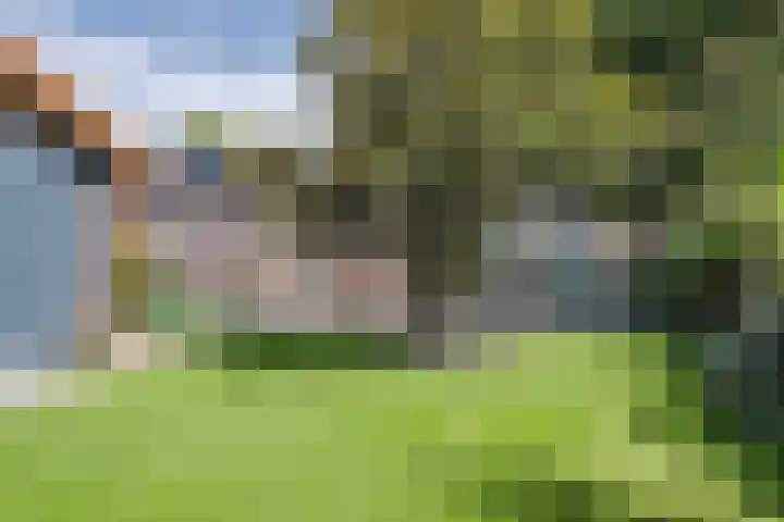 Wezelhof 60 Cuijk thumbnail 26