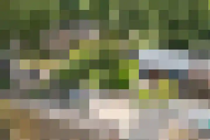 Wezelhof 60 Cuijk thumbnail 27