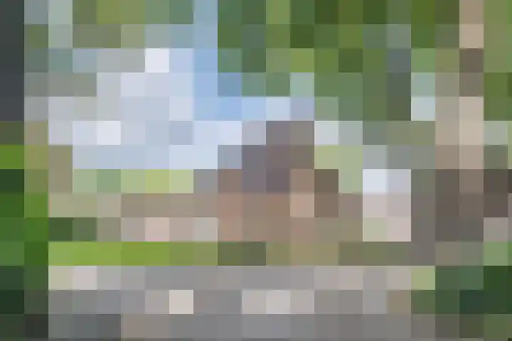 Wezelhof 60 Cuijk thumbnail 28