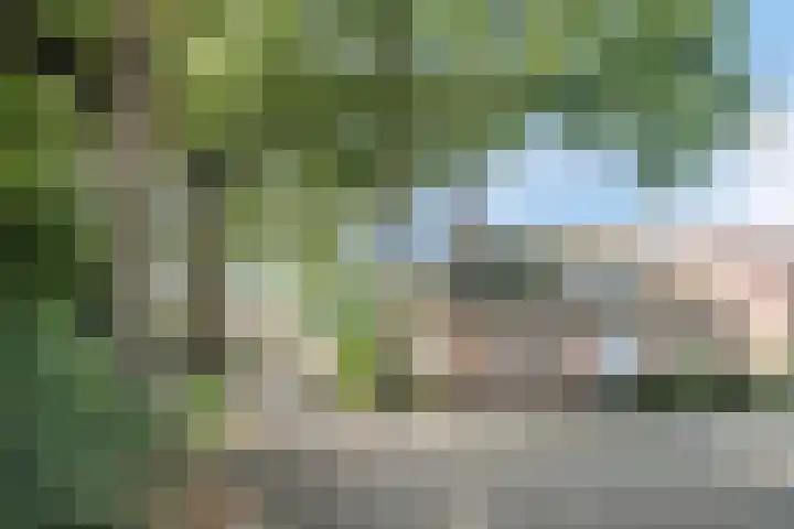 Wezelhof 60 Cuijk thumbnail 30
