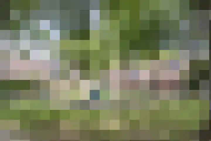 Wezelhof 60 Cuijk thumbnail 31