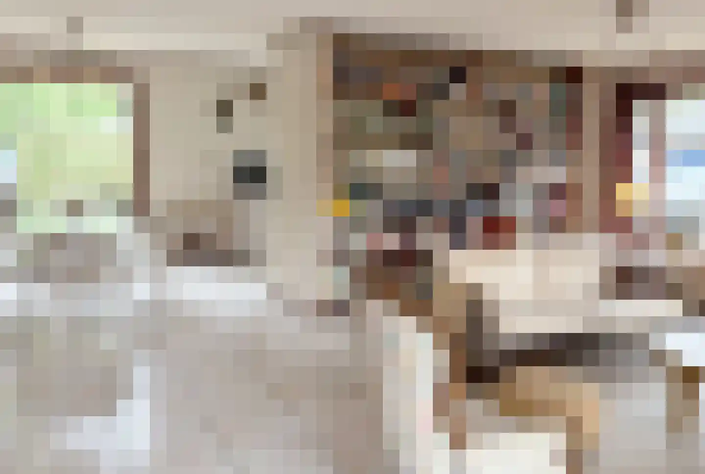 Wezelhof 64 Cuijk thumbnail 14