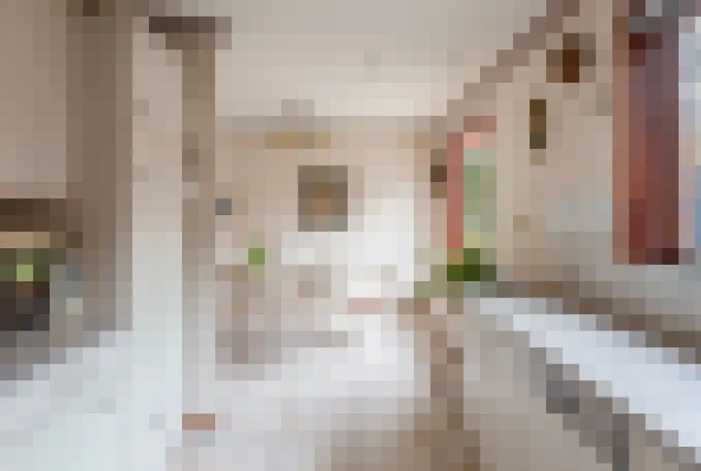 Wezelhof 64 Cuijk thumbnail 15