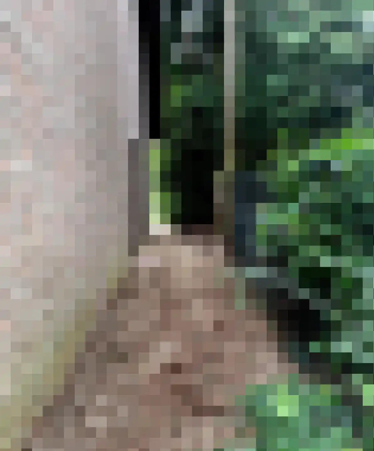 Wezelhof 64 Cuijk thumbnail 21
