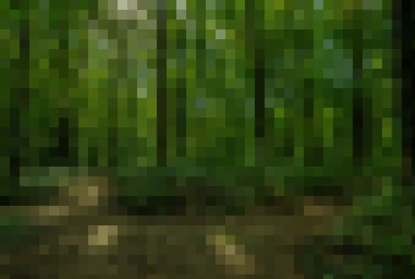 Wezelhof 64 Cuijk thumbnail 5