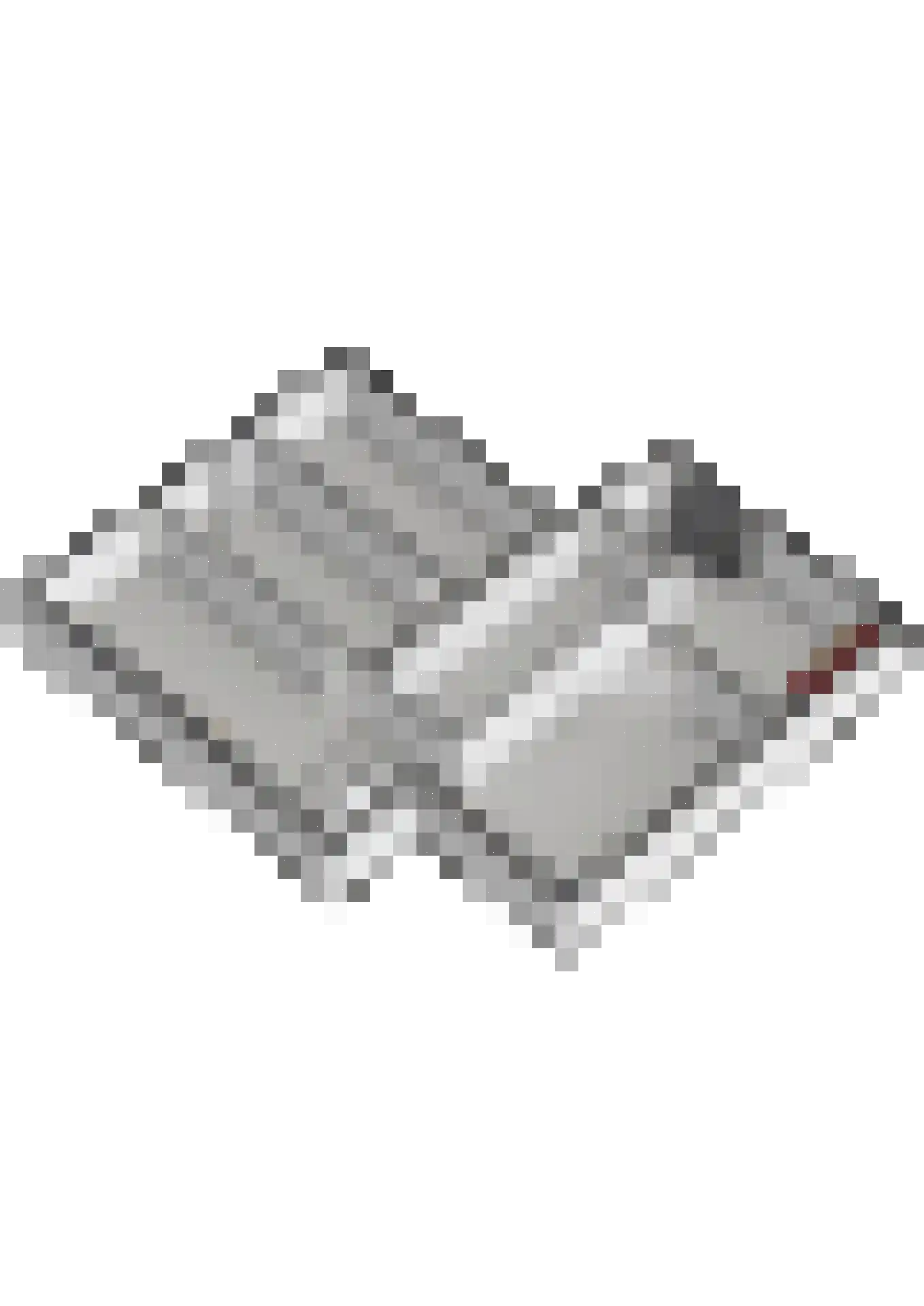 Wezelhof 64 Cuijk thumbnail 56