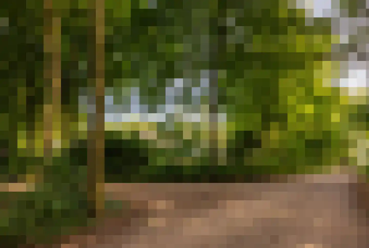 Wezelhof 64 Cuijk thumbnail 6