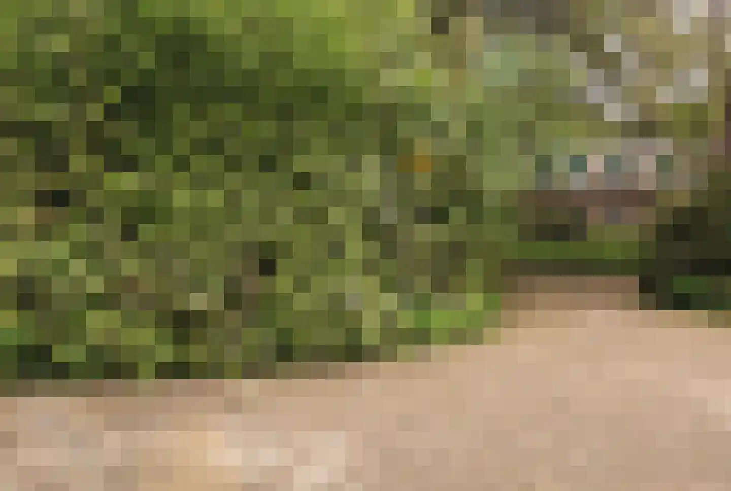 Wezelhof 64 Cuijk thumbnail 7