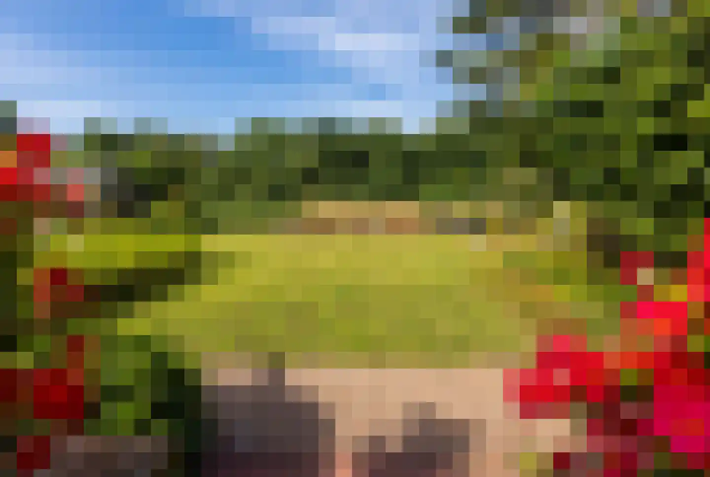 Wezelhof 64 Cuijk thumbnail 8