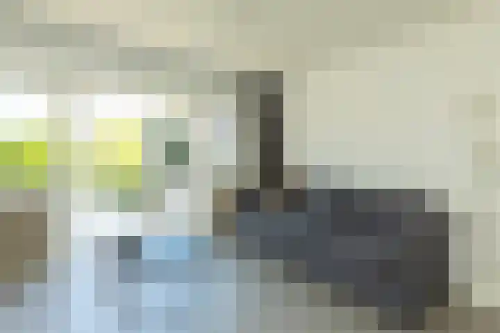 Wezellaan 12 Hilversum thumbnail 14