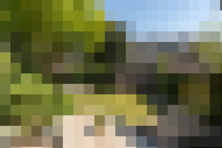 Wezellaan 12 Hilversum thumbnail 28