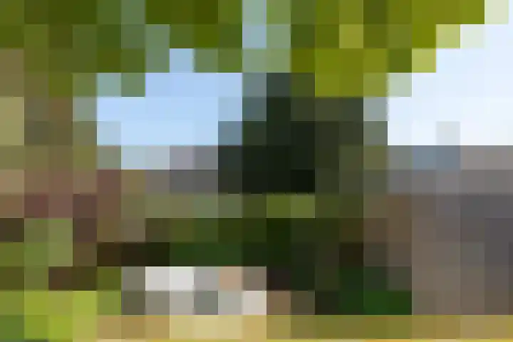 Wezellaan 12 Hilversum thumbnail 30