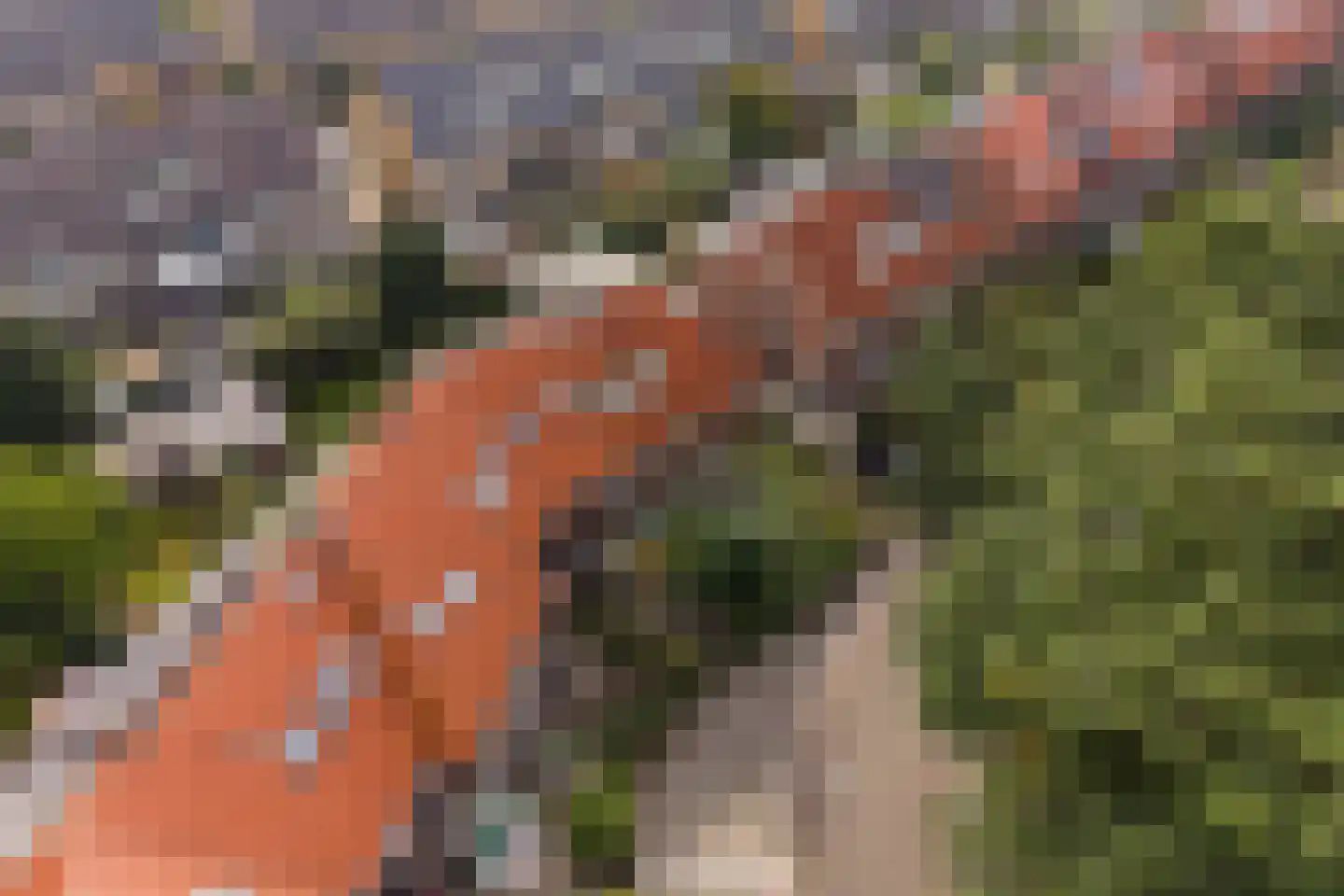 Wezellaan 13 Hilversum thumbnail 32