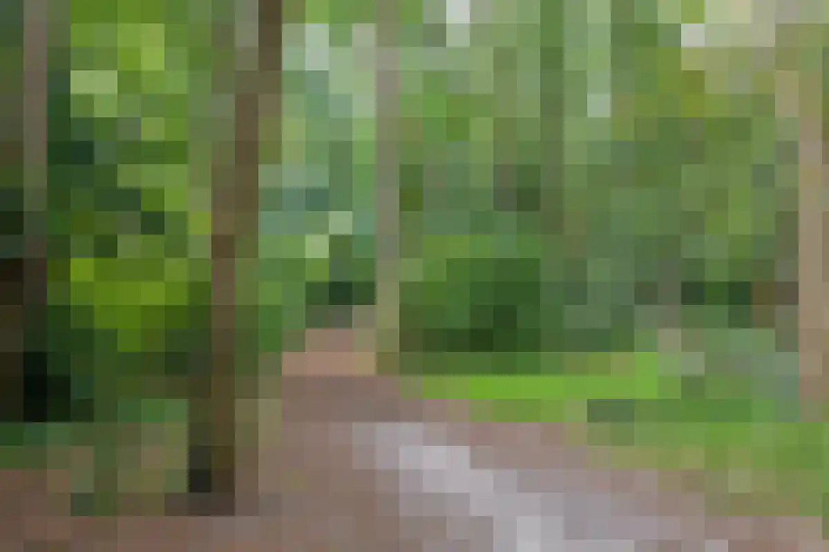 Wezellaan 13 Hilversum thumbnail 37