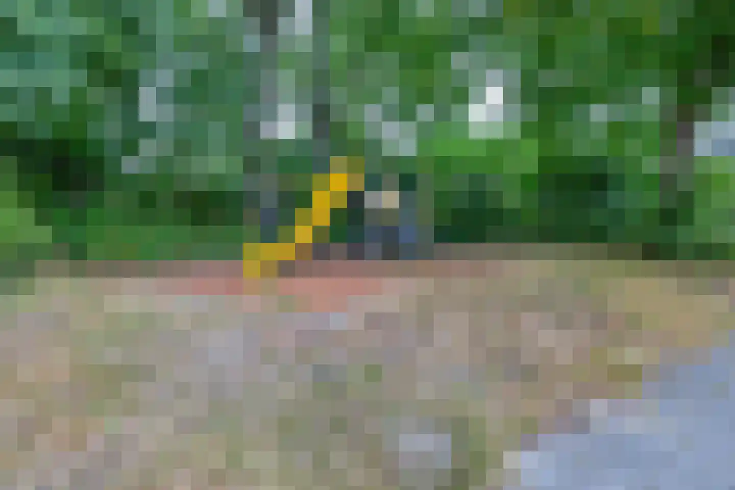 Wezellaan 138 Winschoten thumbnail 31
