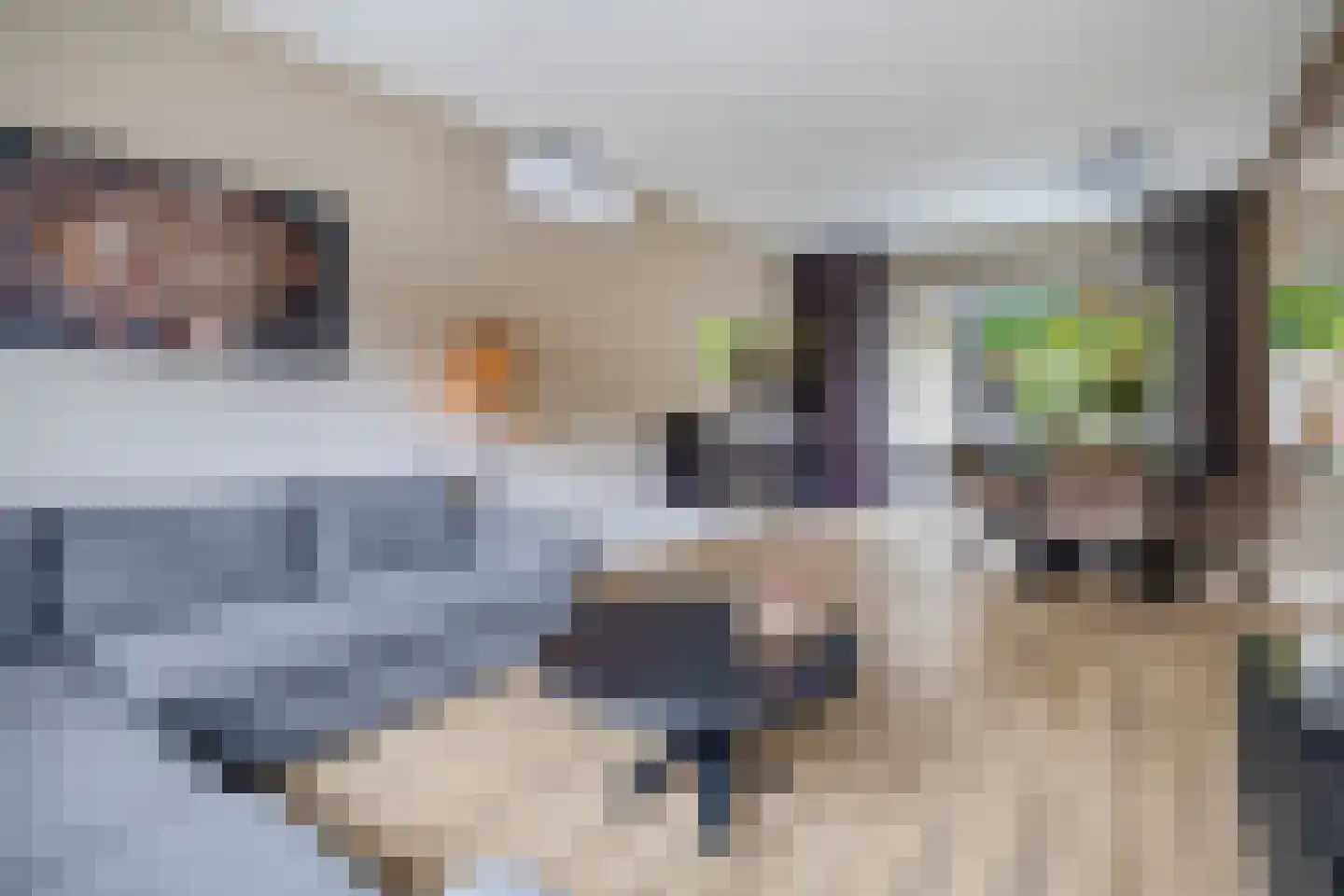 Wezellaan 138 Winschoten thumbnail 4