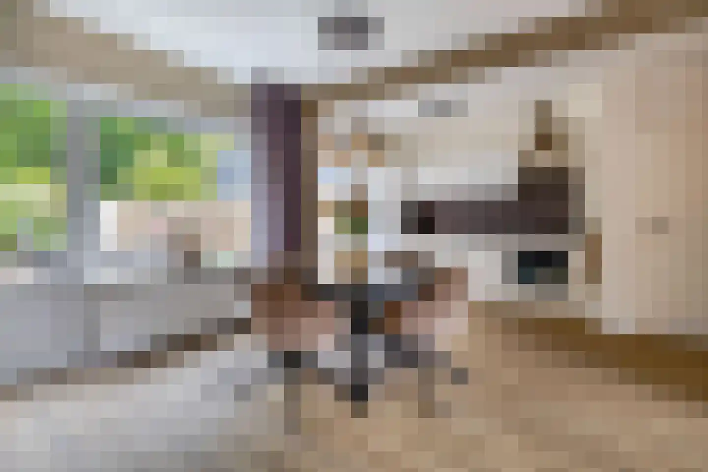 Wezellaan 138 Winschoten thumbnail 5