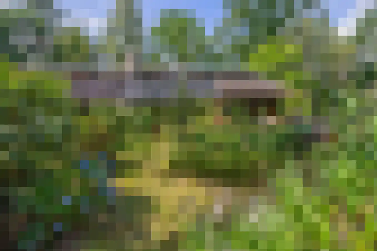 Wezellaan 14 Wageningen thumbnail 36