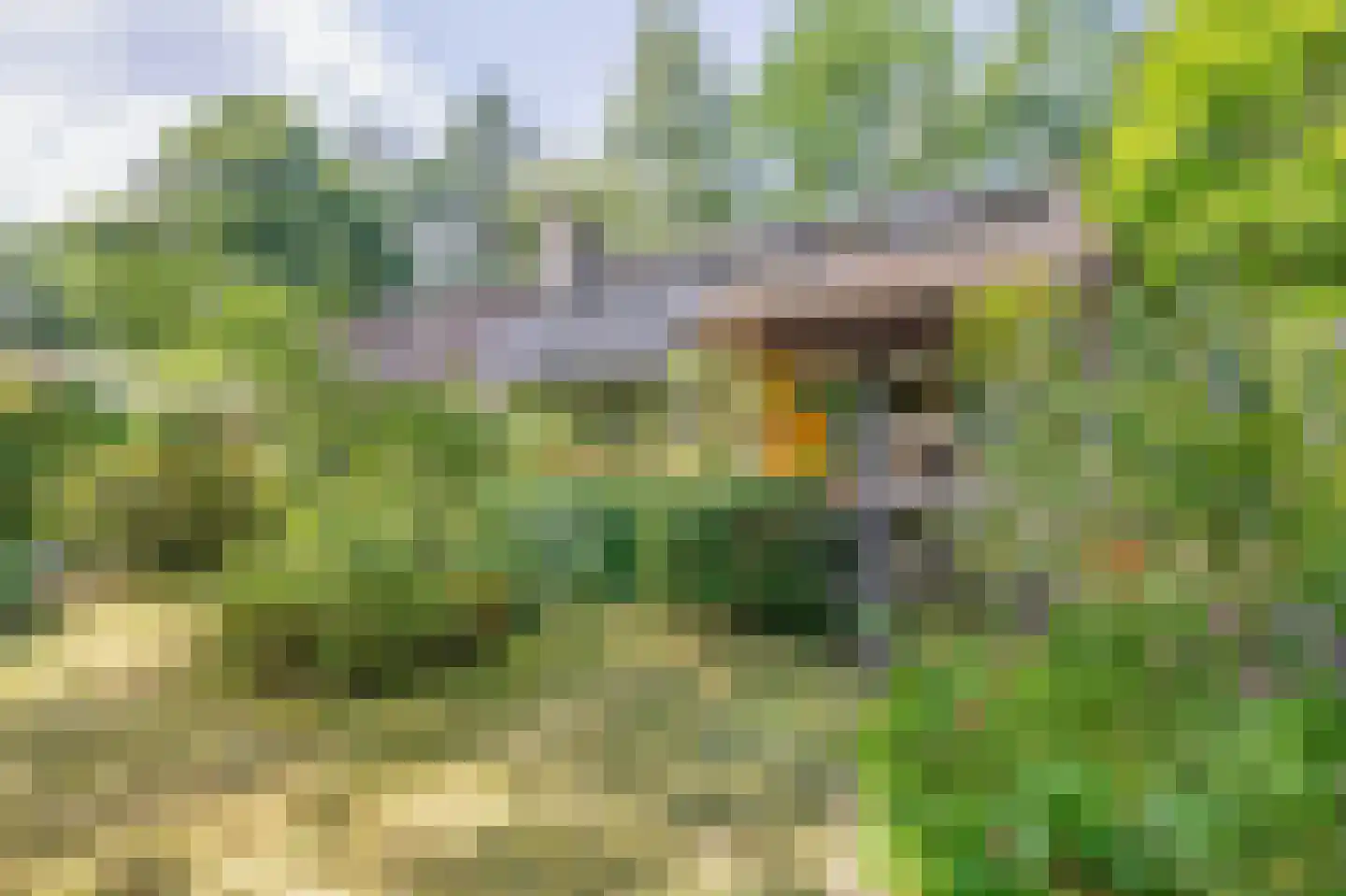 Wezellaan 14 Wageningen thumbnail 37
