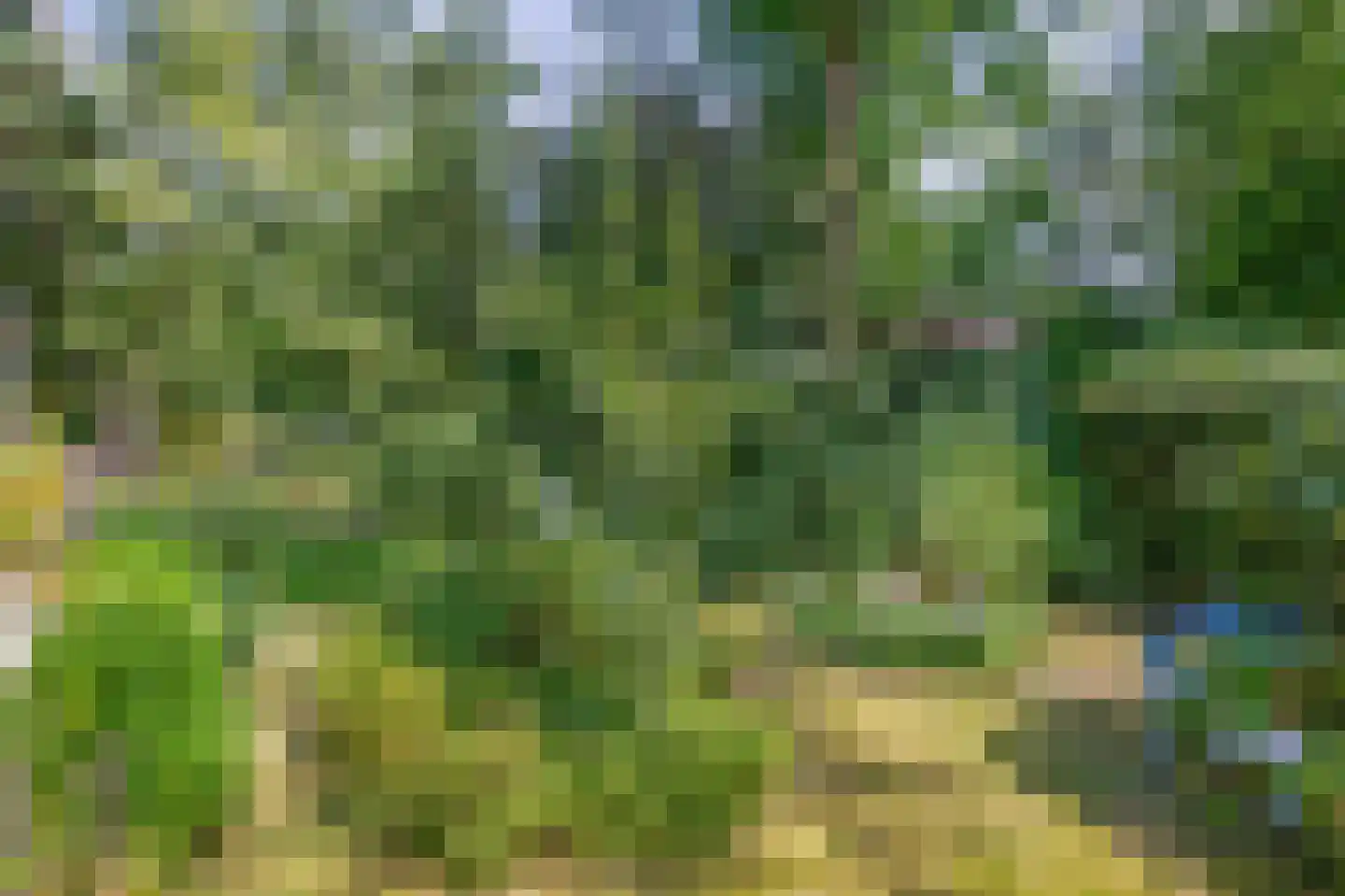 Wezellaan 14 Wageningen thumbnail 39