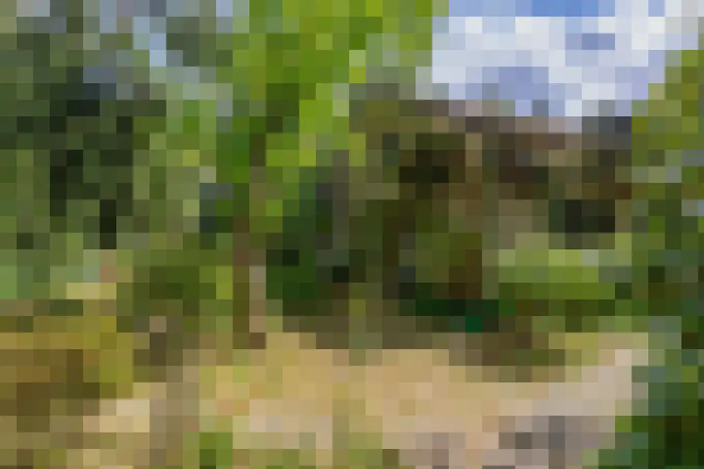 Wezellaan 14 Wageningen thumbnail 4
