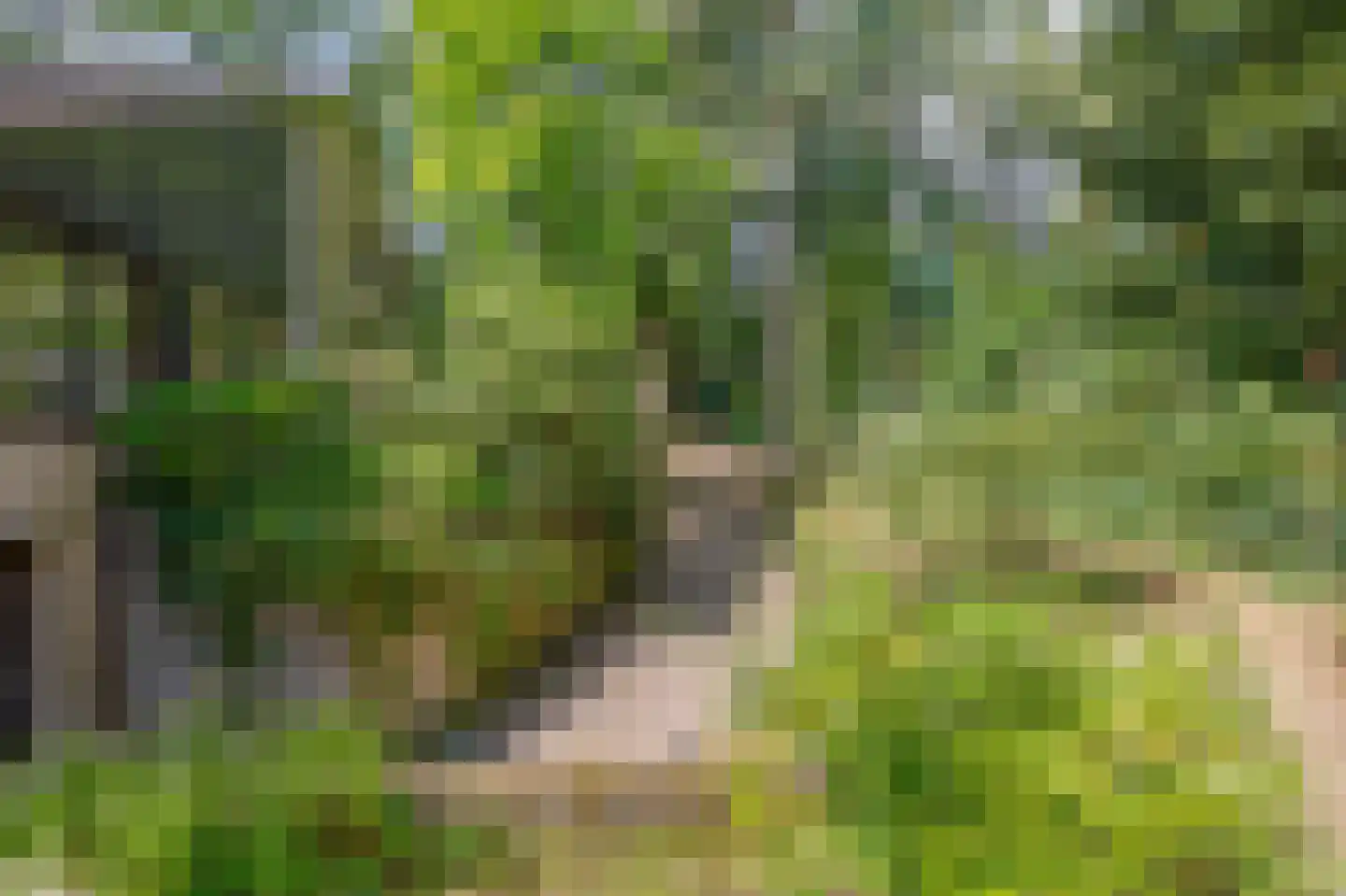 Wezellaan 14 Wageningen thumbnail 40