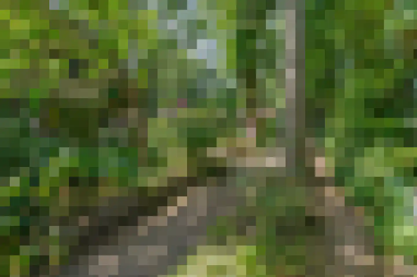 Wezellaan 14 Wageningen thumbnail 41