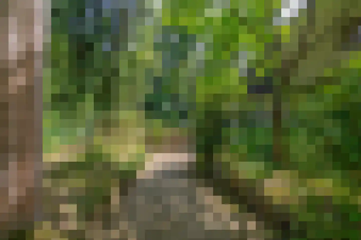 Wezellaan 14 Wageningen thumbnail 42