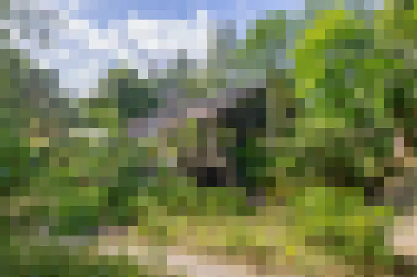 Wezellaan 14 Wageningen thumbnail 44
