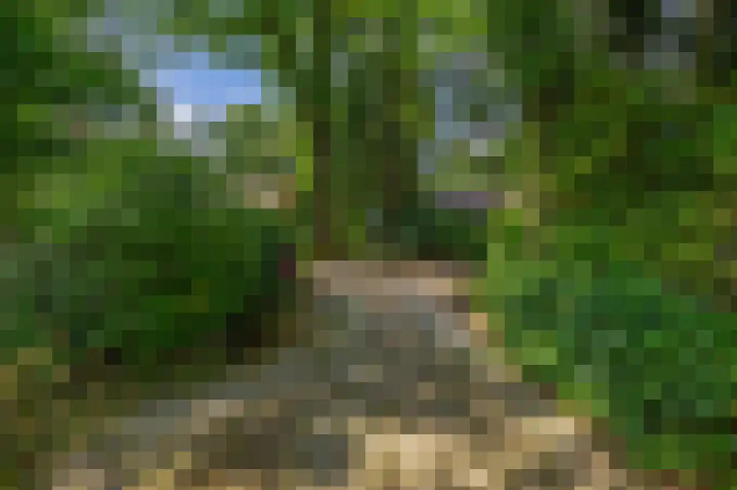 Wezellaan 14 Wageningen thumbnail 5