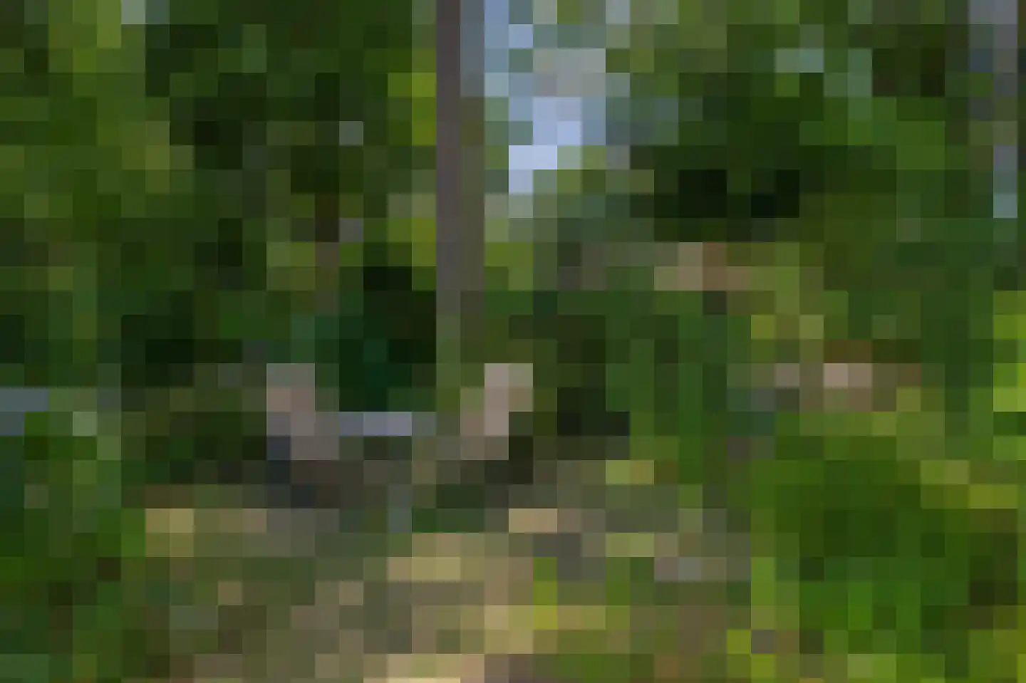 Wezellaan 14 Wageningen thumbnail 7