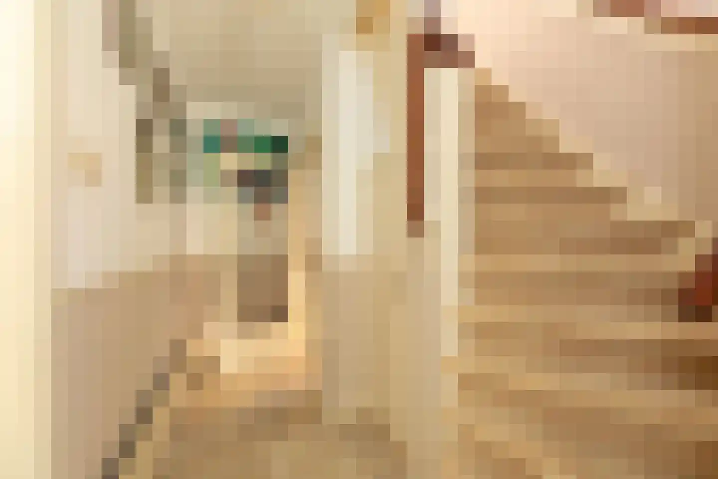 Wezellaan 24 Hilversum thumbnail 13