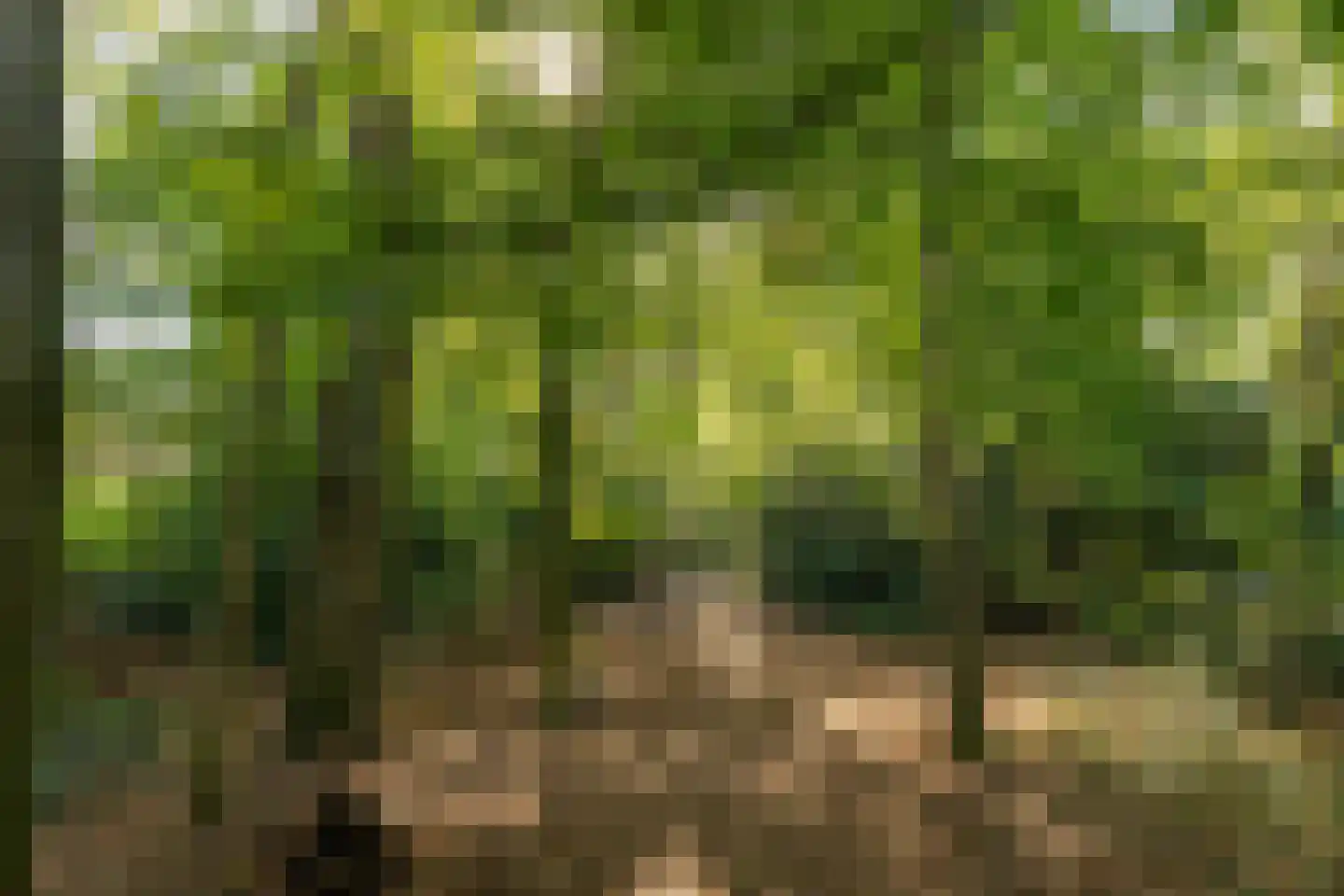 Wezellaan 24 Hilversum thumbnail 34