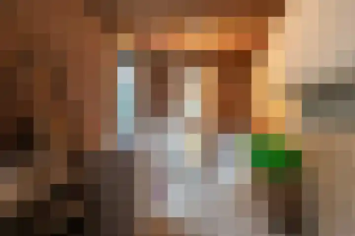 Wezellaan 254 Winschoten thumbnail 13