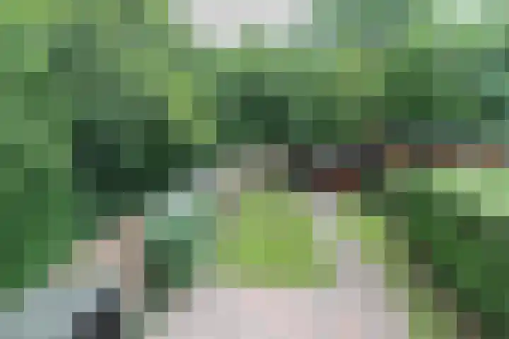 Wezellaan 254 Winschoten thumbnail 39
