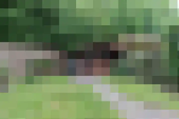 Wezellaan 254 Winschoten thumbnail 41