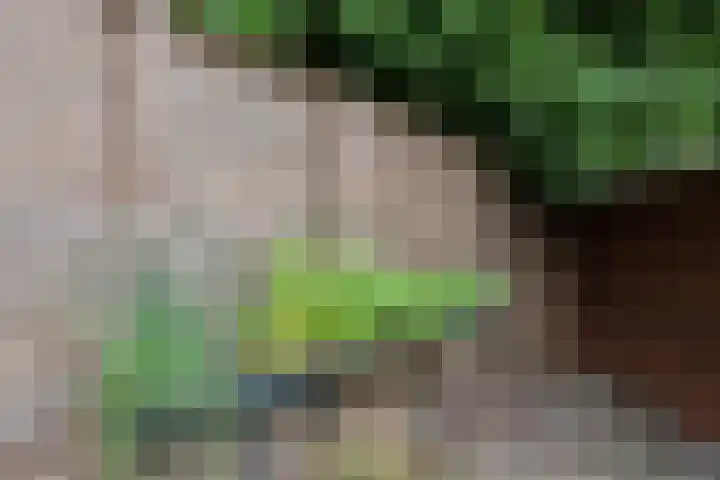 Wezellaan 254 Winschoten thumbnail 42
