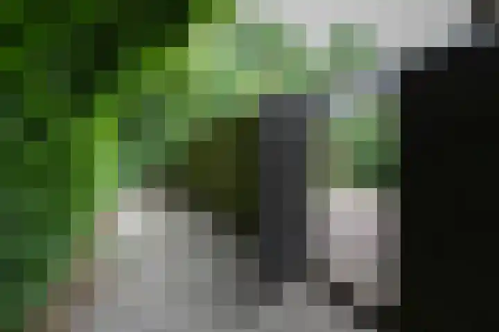 Wezellaan 254 Winschoten thumbnail 44
