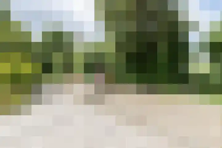 Wezellaan 254 Winschoten thumbnail 48