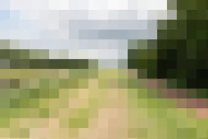 Wezellaan 254 Winschoten thumbnail 49